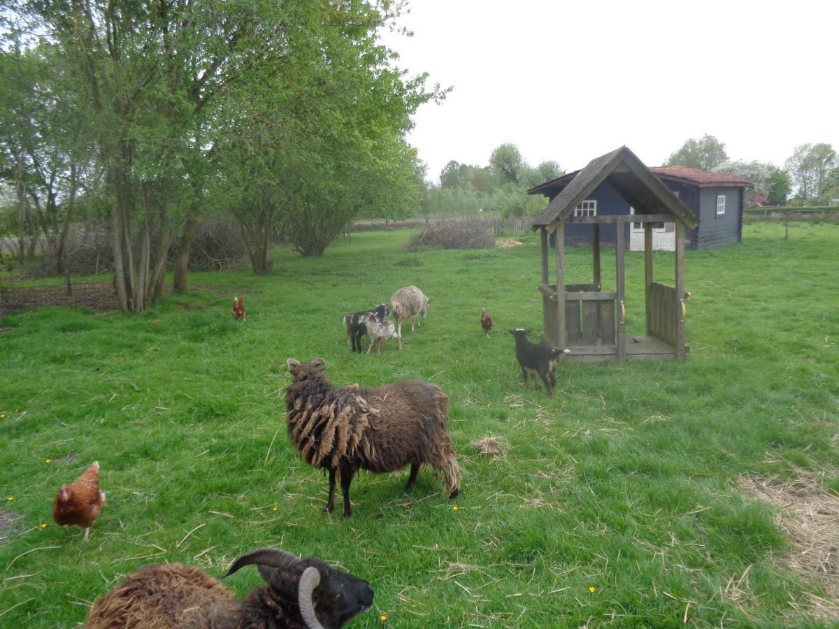 Bed & Breakfast De Boeren Zwaluw Slochteren